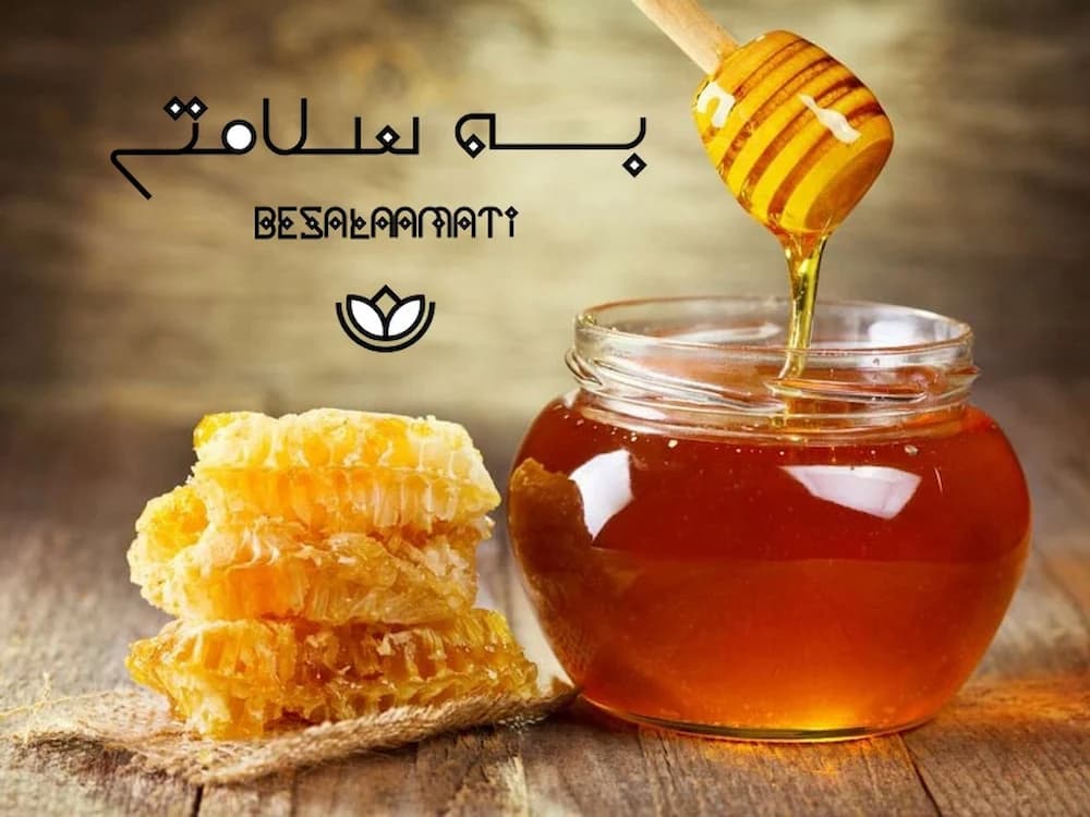 خرید-عسل-گشنیز-اصل-و-طبیعی-دی-1403